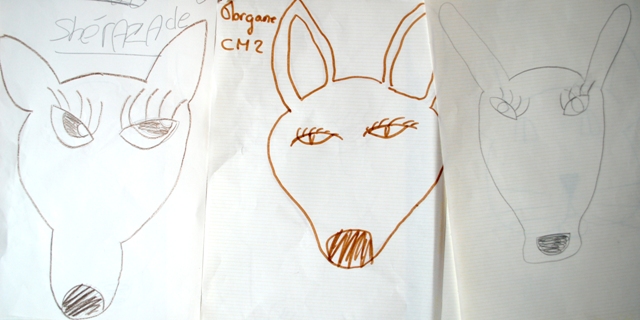 3-dessins-kangourou.jpg