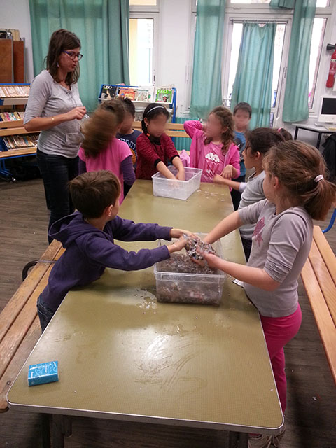 go-ercn-tap-ecole-timone-elementaire-imaga25.jpg