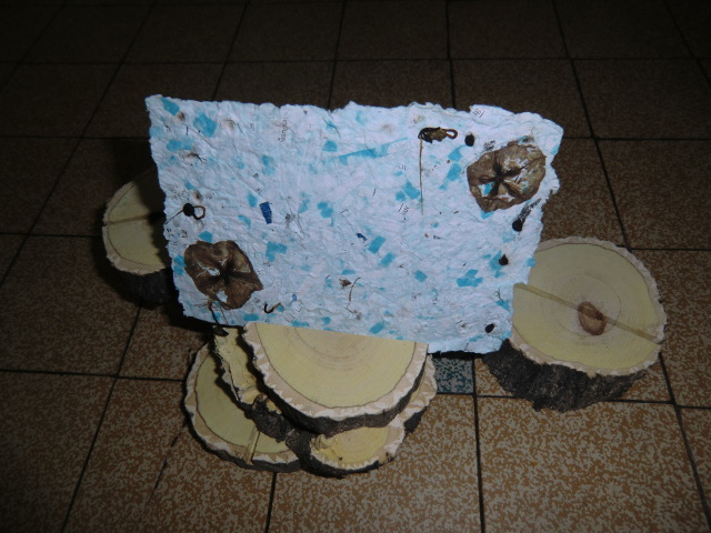 go-ercn-tap-ecole-timone-elementaire-image51.jpg