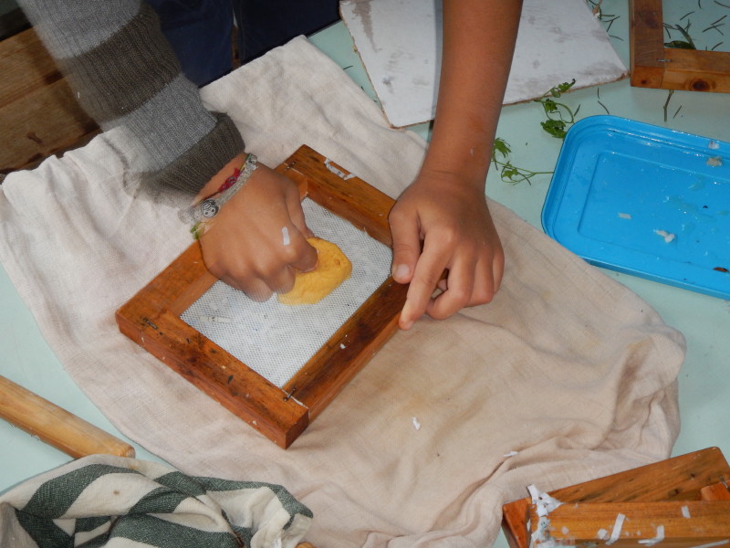 dscn0470.jpg