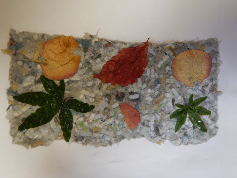 dscn0491.jpg