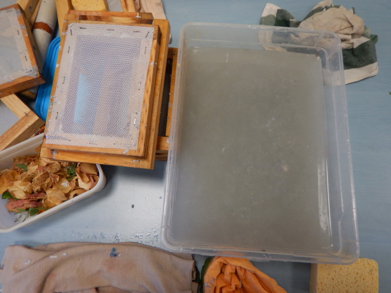 dscn0498.jpg
