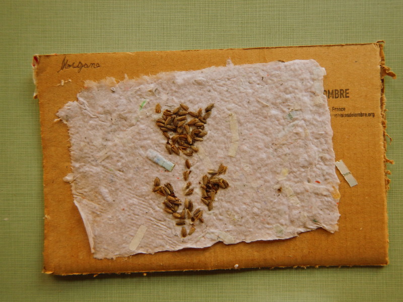 dscn0522.jpg