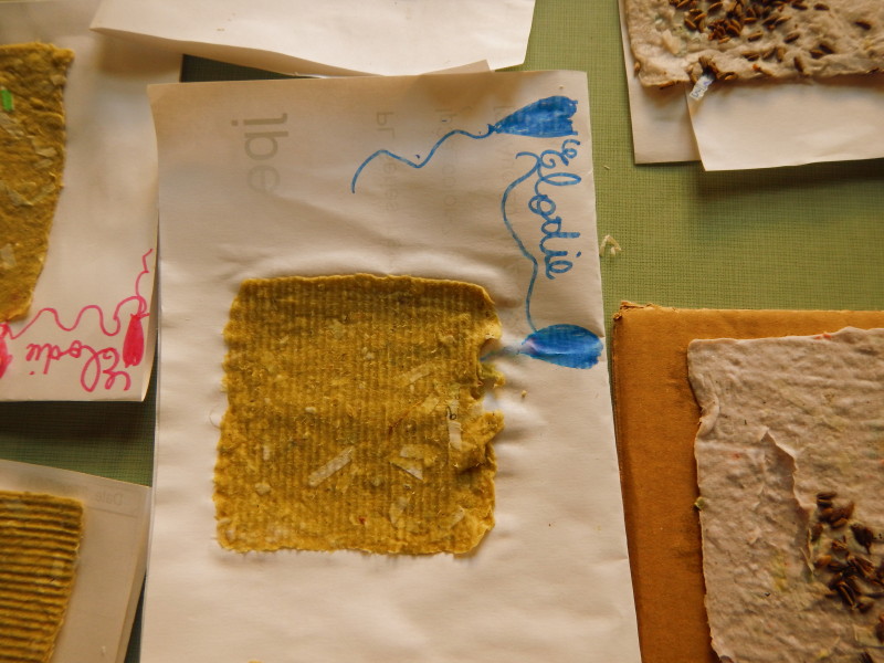 dscn0526.jpg