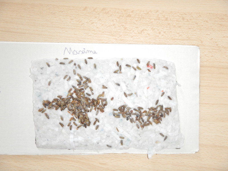 dscn0574.jpg
