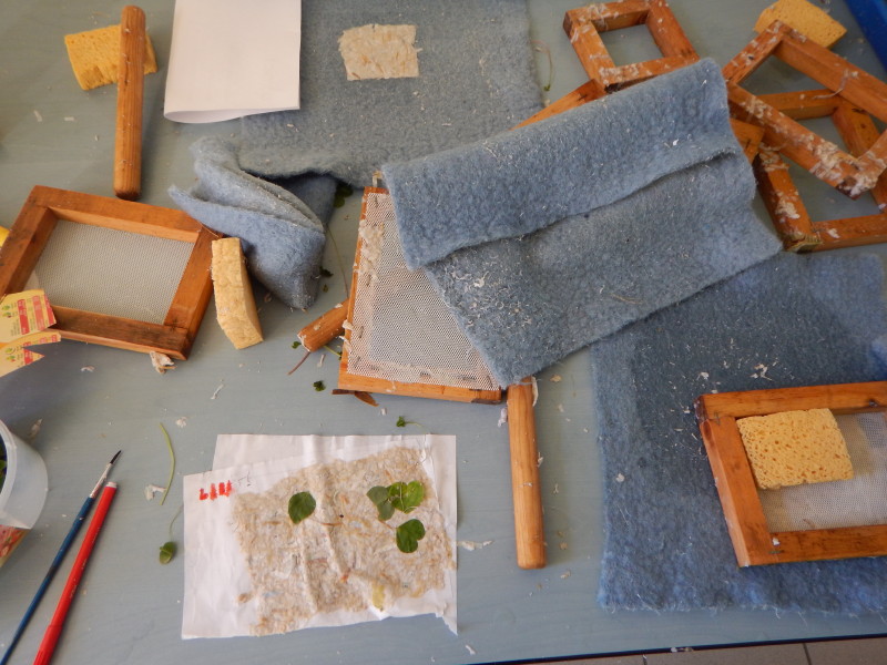 dscn0874.jpg