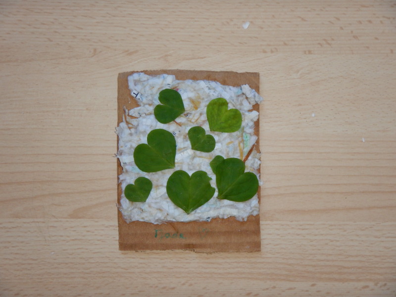 dscn0878.jpg