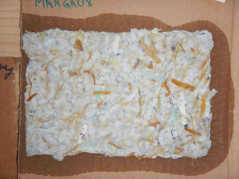 dscn0882.jpg