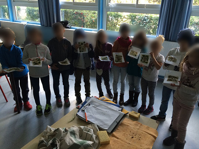 go-ercn-tap-ecole-elementaire-trois-lucs-image25.jpg