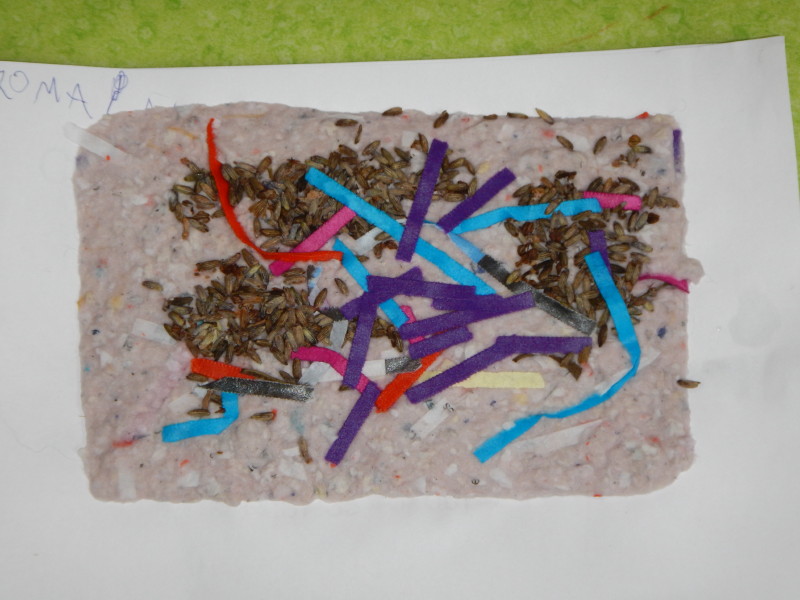 dscn1262.jpg