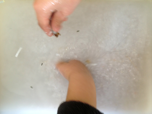 go-ercn-tap-ecole-m2.jpg